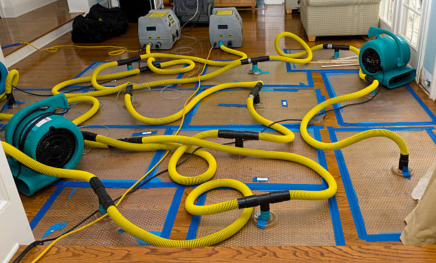 Professional Water Damage Repair technician working in Mulhall, OK
